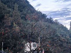 -丹山赤水风景名胜区