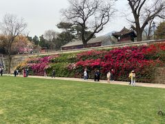 -红螺寺