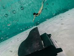 -上海潜殿潜水中心