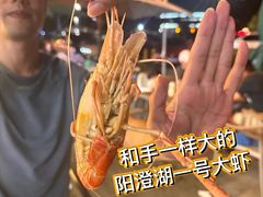 -品鲜村农家菜·阳澄湖大闸蟹(总店)