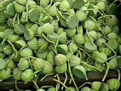 -铁道游击队纪念园