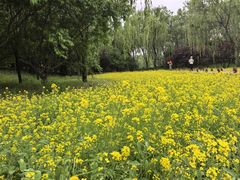 -北坞公园