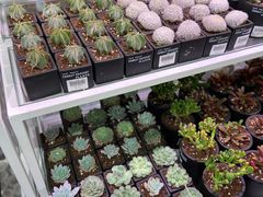 -KKV(天津津南吾悦广场店)