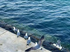 -悦海公园