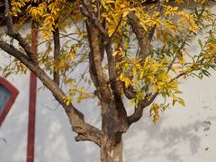 -韩家民俗村