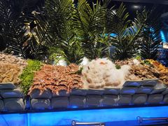 -海吃海喝海鲜烤肉炭火主题自助餐(朝阳店)