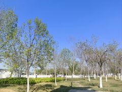 -华山风景区-华阳宫