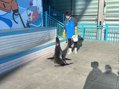 -大连圣亚海洋世界