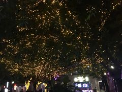 -黄祥华养生堂·炖汤·营养蒸饭(岭南天地店)