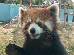 -无锡动物园·太湖欢乐园