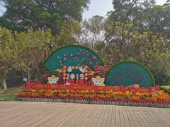 -金鸡山公园