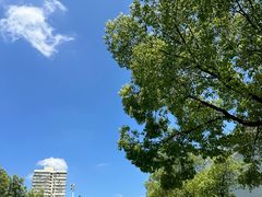 -上海当代艺术博物馆