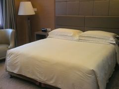 android_upload_pic-深圳东部华侨城茵特拉根酒店