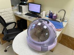 -美联众合动物医院·24h京西诊疗中心