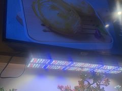 -街角等你.大连海鲜烧烤(西安路店)
