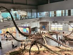 -自贡恐龙博物馆