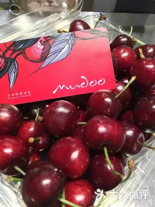 木朵图片 - 第1张