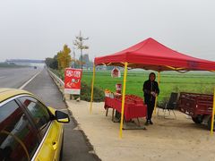 -金谷域澳洲庄园