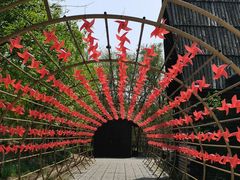 -西青郊野公园