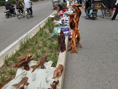 -中环花鸟鱼虫市场