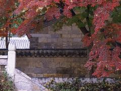 -崂山九水游览区