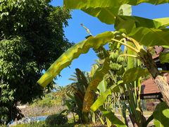 -西双版纳融创皇冠假日度假酒店