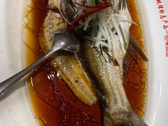 -丹江渔村(望京店)