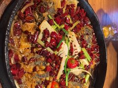 -老板恋上鱼(恒隆广场店)