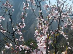 -华山风景名胜区