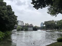 -荔湾湖公园