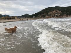 -嵊泗基湖沙滩