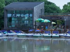 -上海滨江森林公园