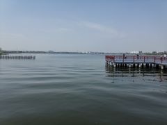 -鹅湖玫瑰文化园