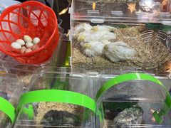-欧亚汇集(飞跃路店)