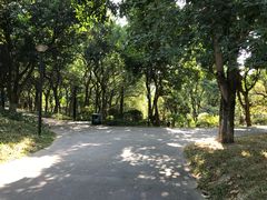 -燕晗山郊野公园