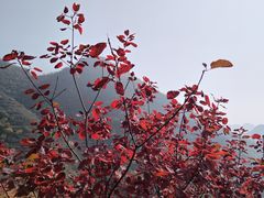 -狼牙山风景区
