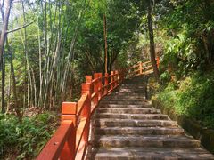 -广州白江湖森林公园