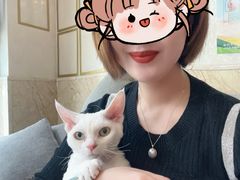 -宠爱国际动物医院·消化内科·心肾内科·ISFM猫友好(望京店)