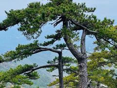 -罗田薄刀峰风景区