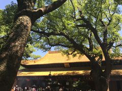 -普陀山风景区-佛顶山