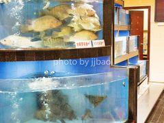 -岭南海晏楼(东晓南店)