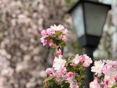 -三里河公园