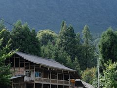 -碧峰峡风景区