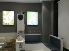 -关爱宠物医院·猫科中心·消化科(滨湖万达分院)