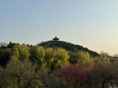 -禹州森林植物园