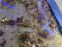 -澜悦港海鲜体验主题餐厅