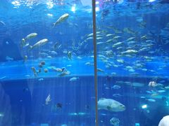 -华夏文旅海洋公园