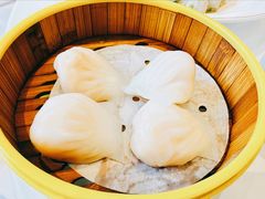 -一品粤珍轩(吴中路店)