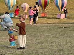 -武汉紫薇都市田园