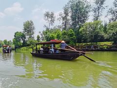 -溱湖国家湿地公园